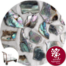 Crushed Sea Shells - Natural Abalone - Gravel - Click & Collect